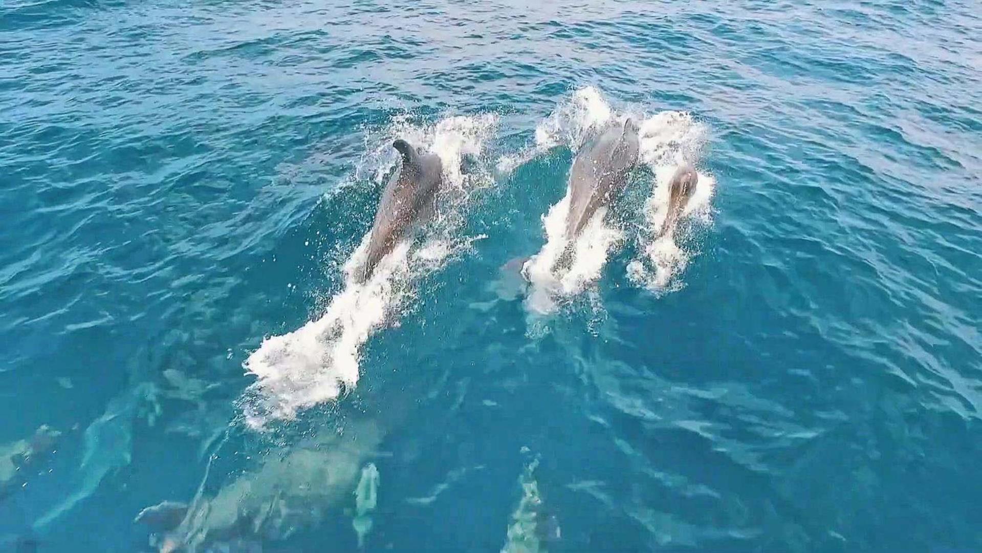Azzurra By Algarve Vacation *